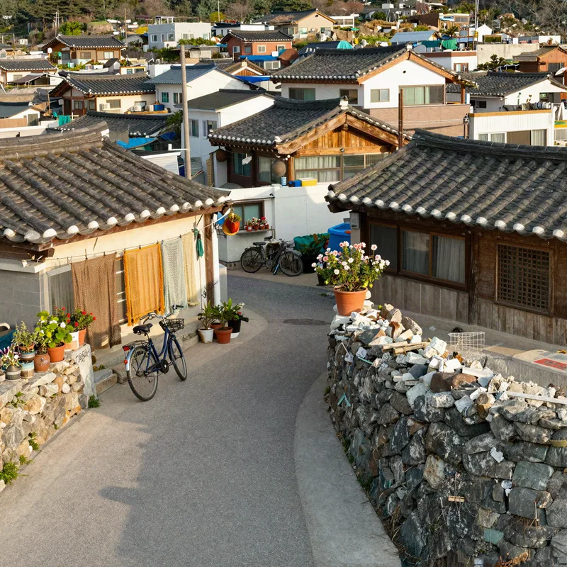현지인 호스트가 안내하는 여행, 마이리얼트립 할인코드로 골라 잡는 홈타운 익스피리언스 완벽 가이드 (2026년 8월)